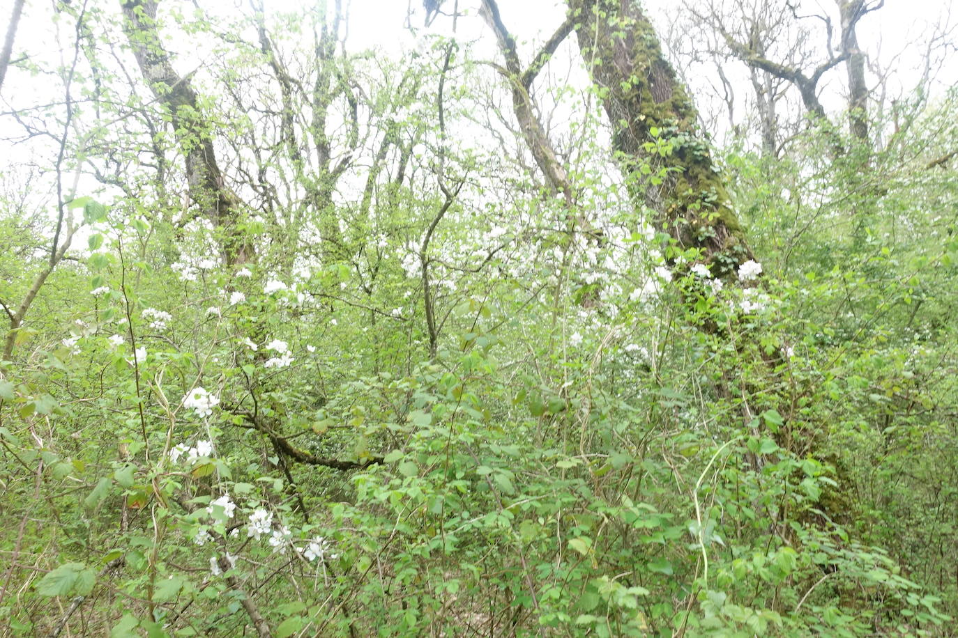 Fotos: Aitxita. La fortaleza de las Dos Hermanas