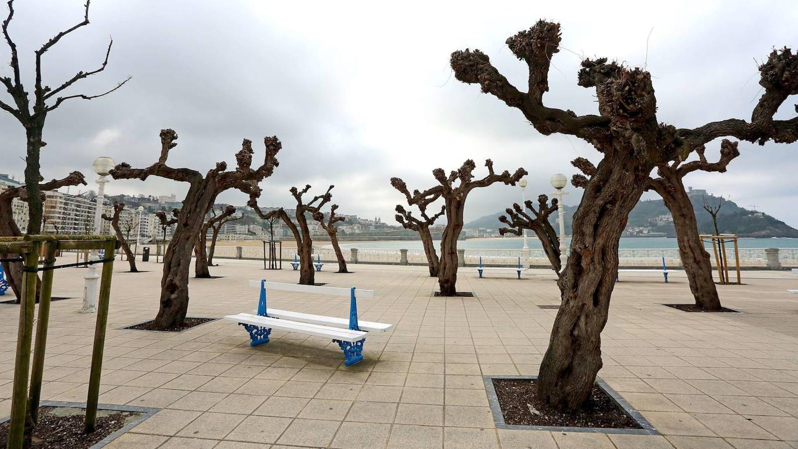 Se declara el estado de alarma. El Consejo de Ministros, tras una reunión de más de siete horas, aprueba la declaración de estado de alarma durante 15 días con medidas de severa restricción al movimiento de personas y la actividad económica. Los desplazamientos se limitan a lo imprescindible.