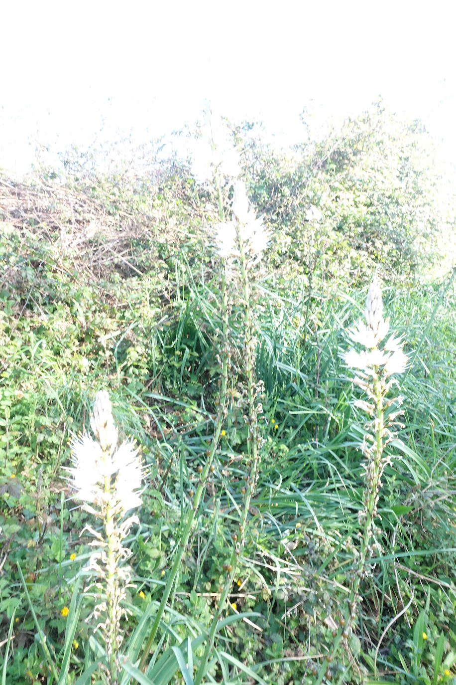 Fotos: Andatza. A pocos kilómetros del mar