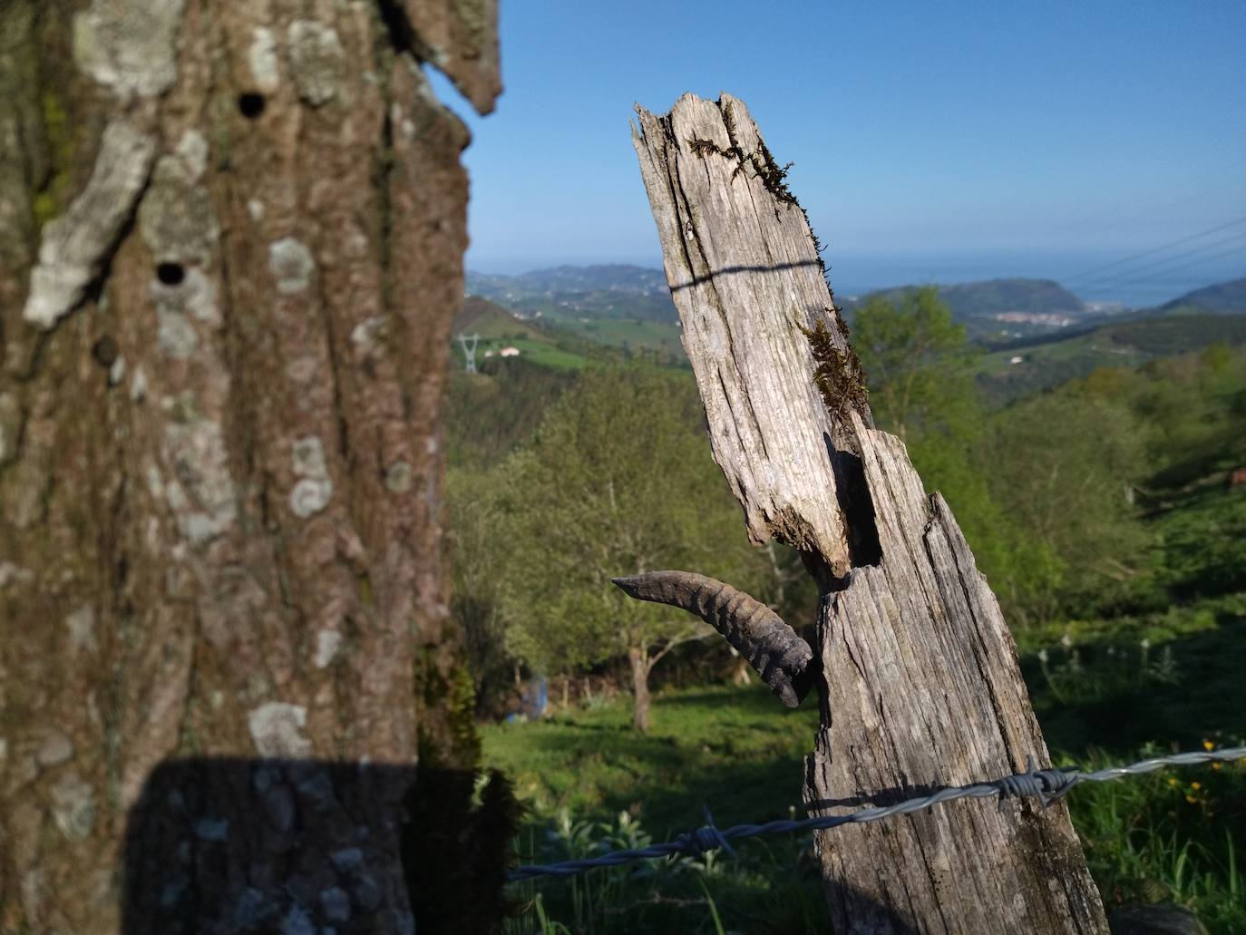 Fotos: Andatza. A pocos kilómetros del mar