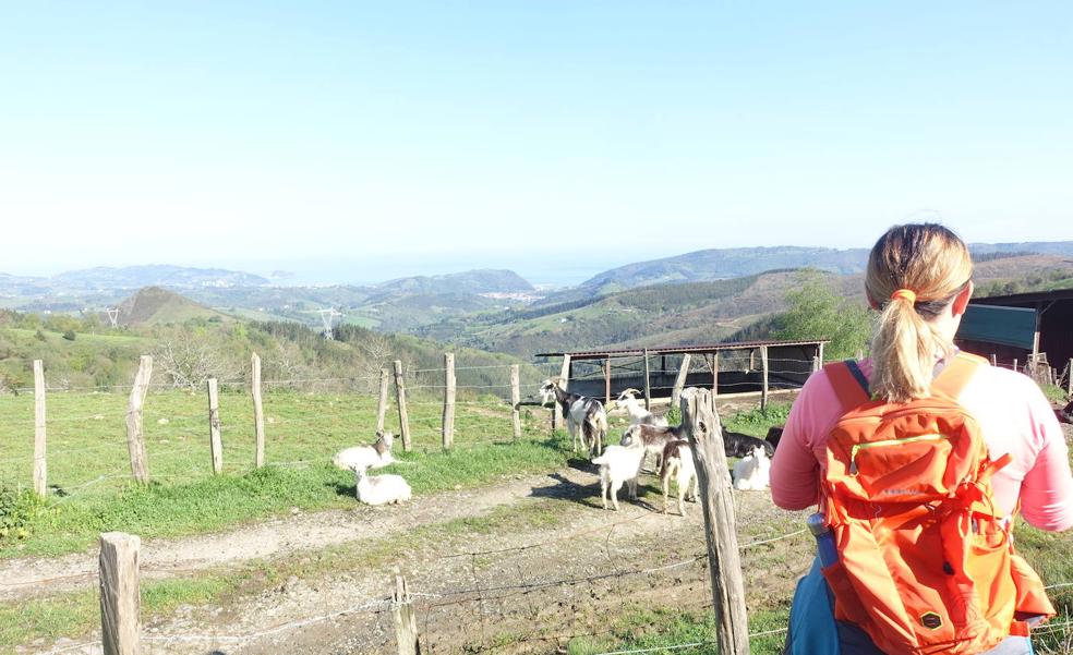 Andatza, ruta circular con track desde Zizurkil