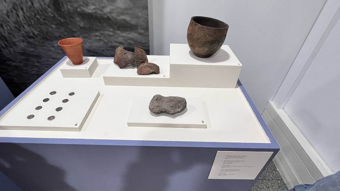 Fotos: El Museo Romano Oiasso homenajea a los &#039;gigantes&#039; de la arqueología vasca