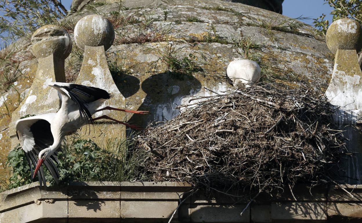 Un nido de cigüeñas en Puente la Reina, Navarra.