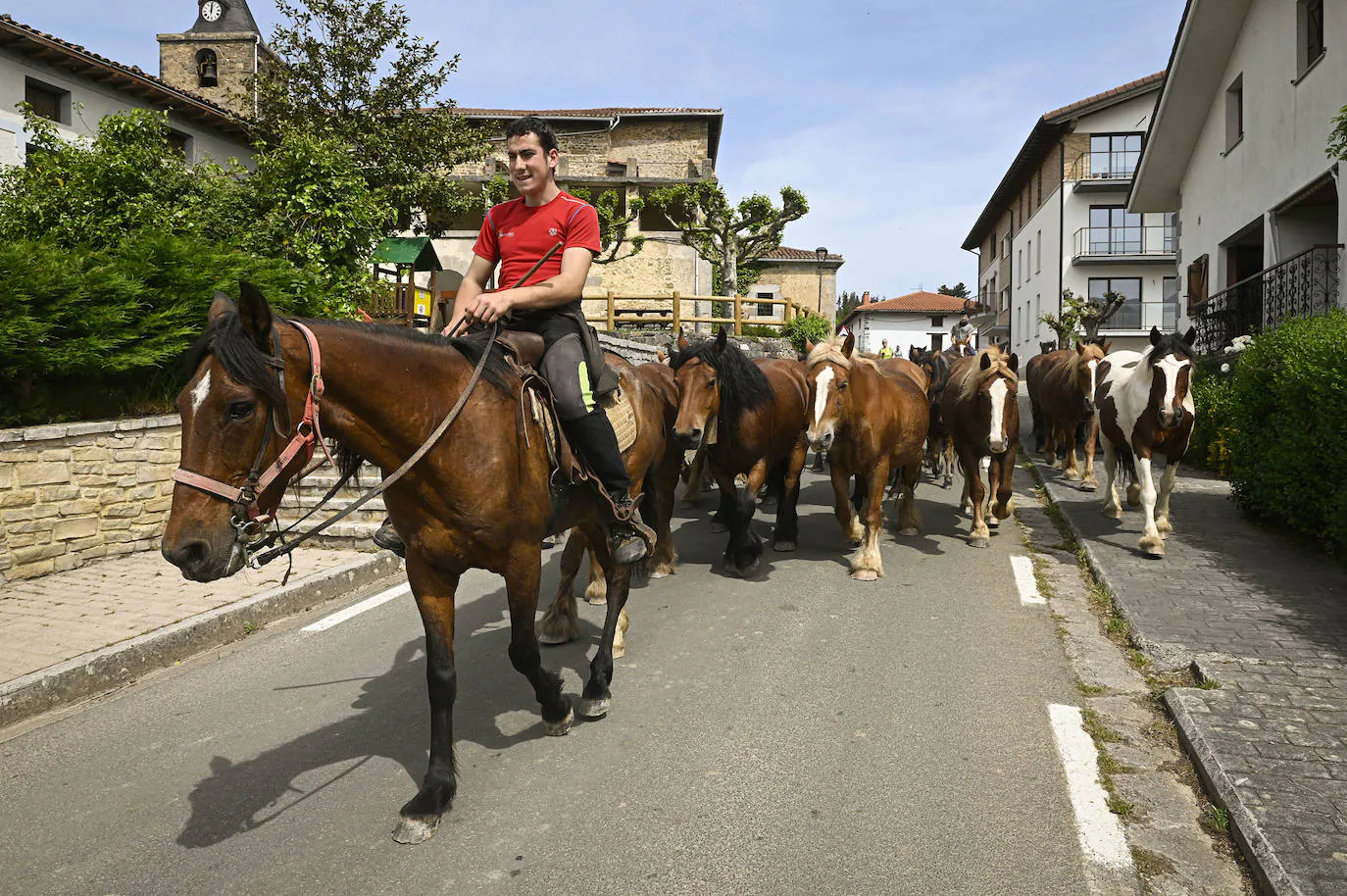 Fotos: Desde Azpeitia hasta Aralar para disfrutar de los pastos