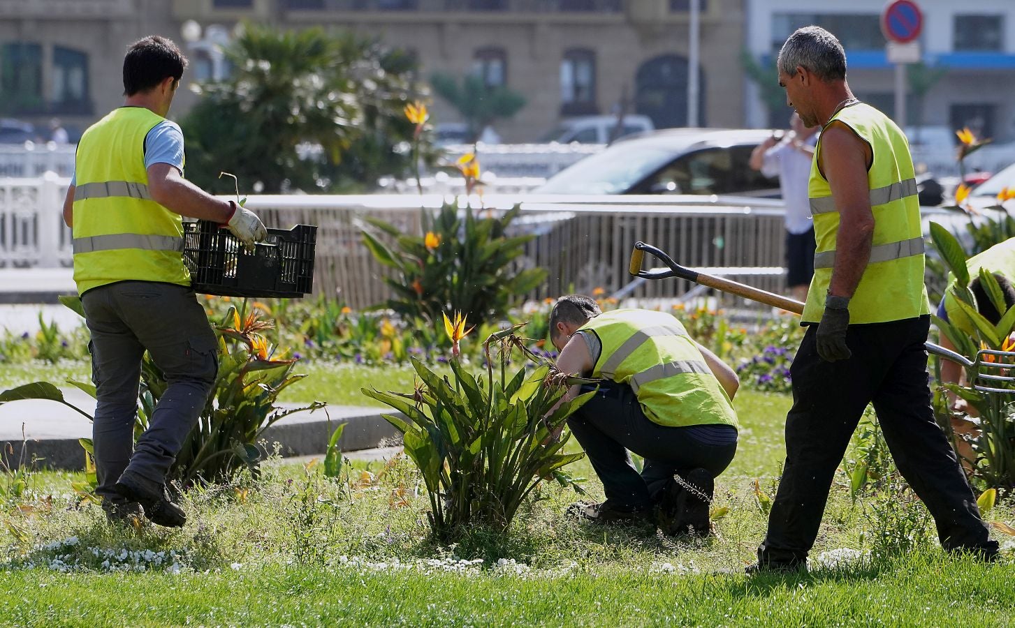 Fotos: Reparto de plantas y bulbos en San Sebastián