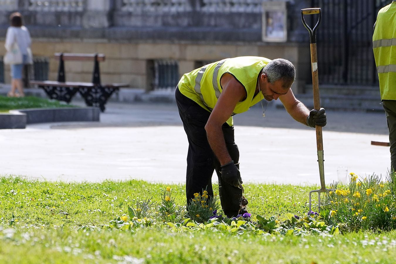 Fotos: Reparto de plantas y bulbos en San Sebastián