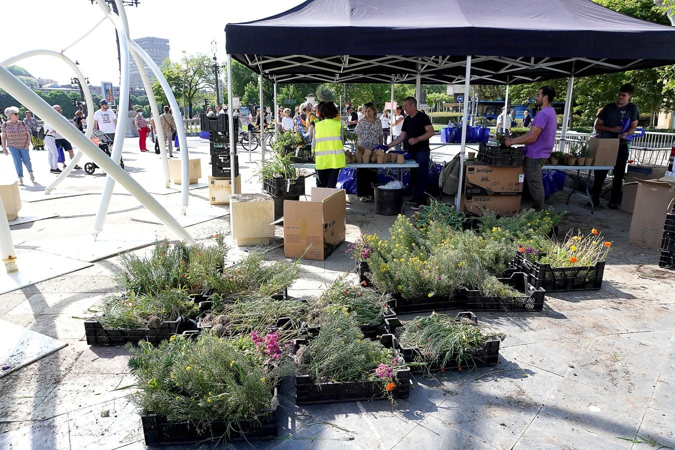 Fotos: Reparto de plantas y bulbos en San Sebastián