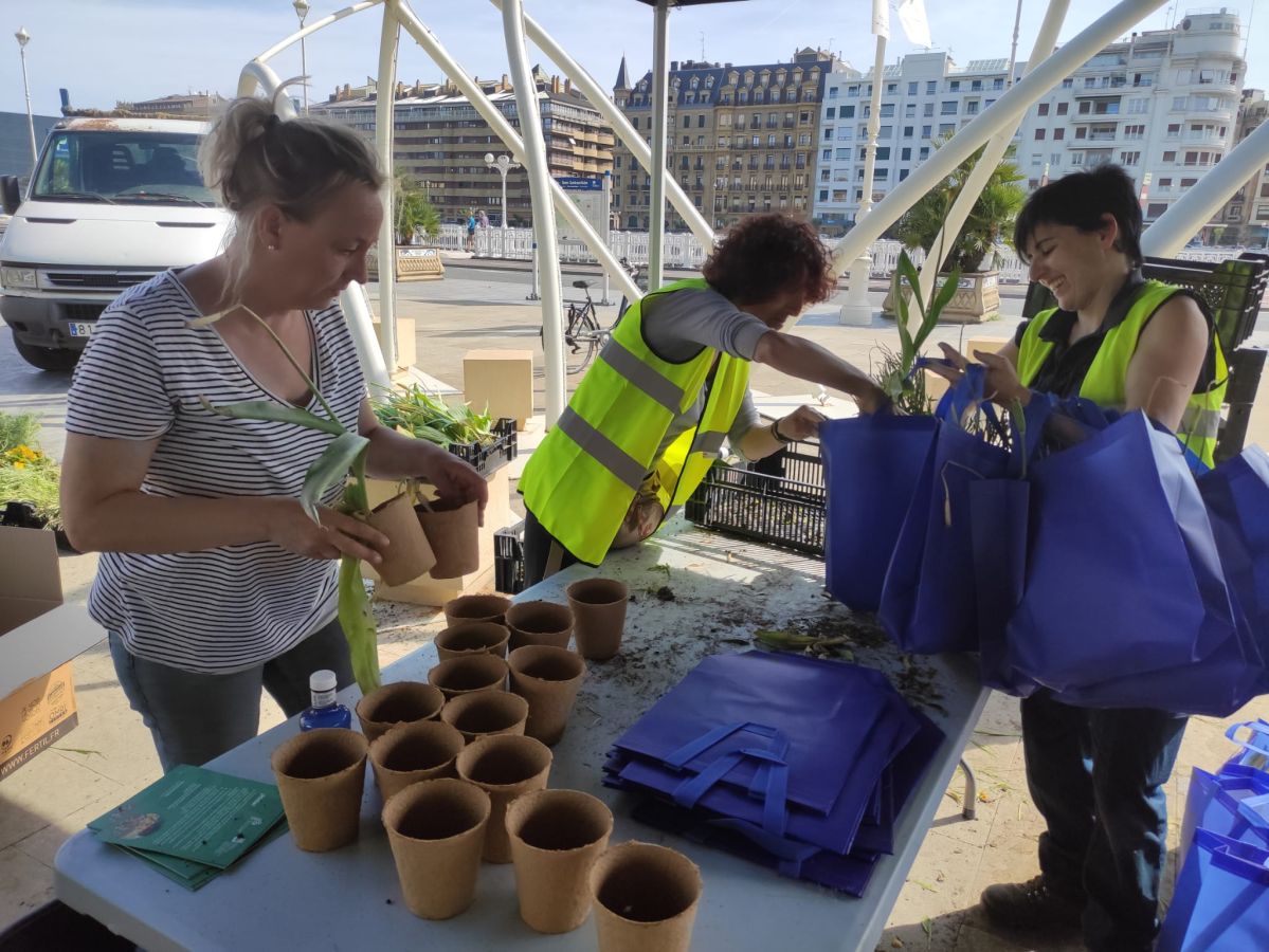 Fotos: Reparto de plantas y bulbos en San Sebastián