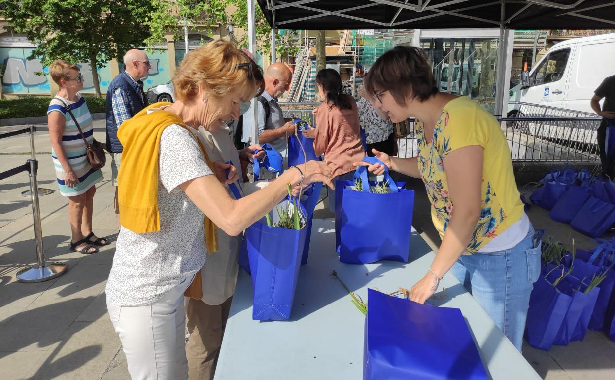 Reparto de bulbos y plantas en la plaza Ramón Labayen