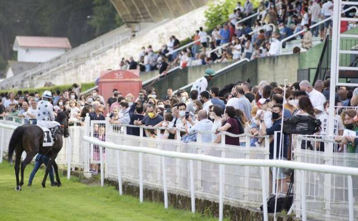 Caballos: 52 ejemplares inscritos en la jornada inaugural del Hipódromo