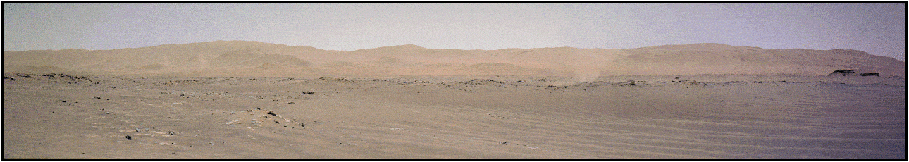 UPV/EHUren ikerketa: Nola harrotzen da hautsa Marten?