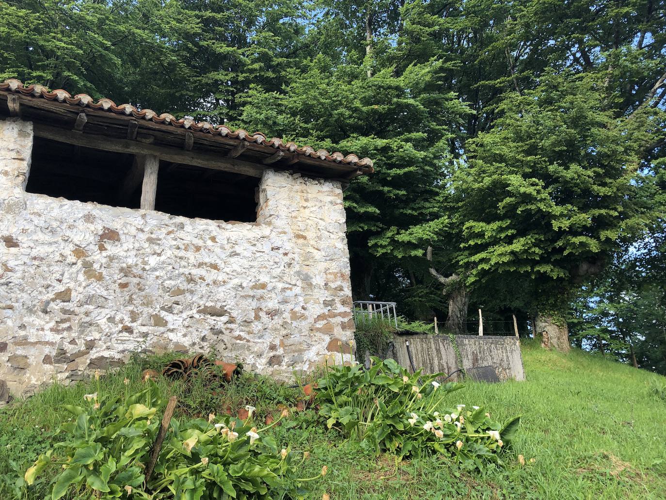 Fotos: Irukurutzeta, envuelta en un manto blanco