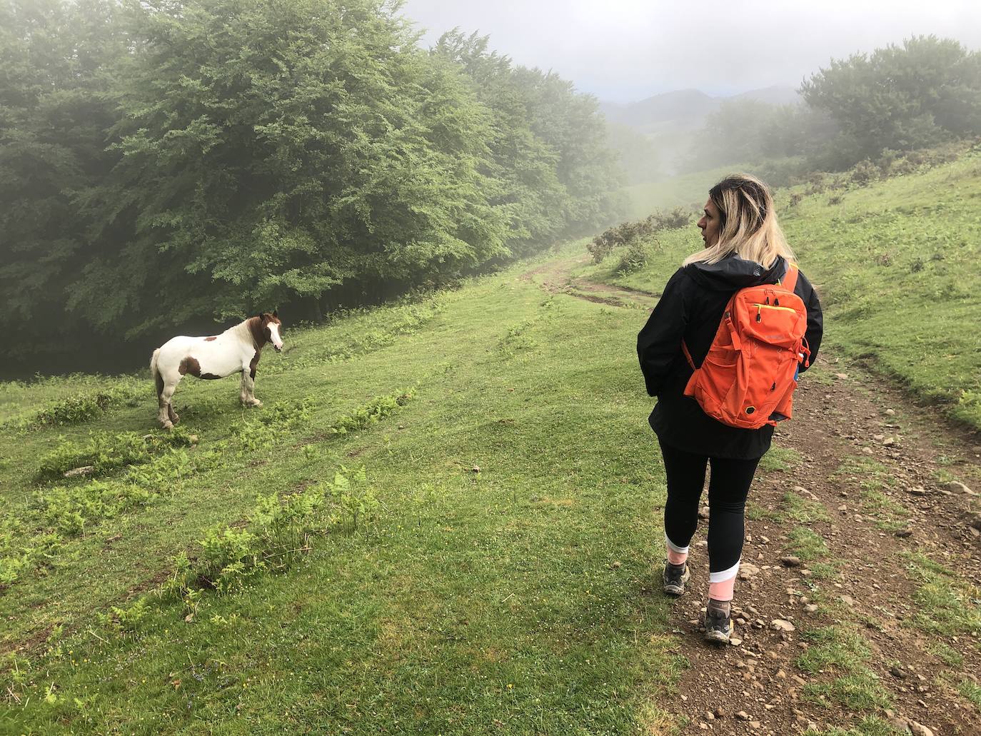 Fotos: Irukurutzeta, envuelta en un manto blanco