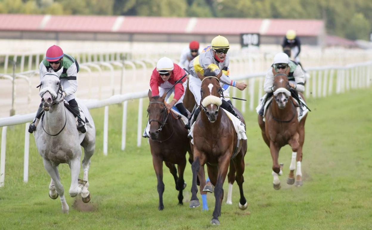 Las carreras de caballos regresan al hipódromo. 