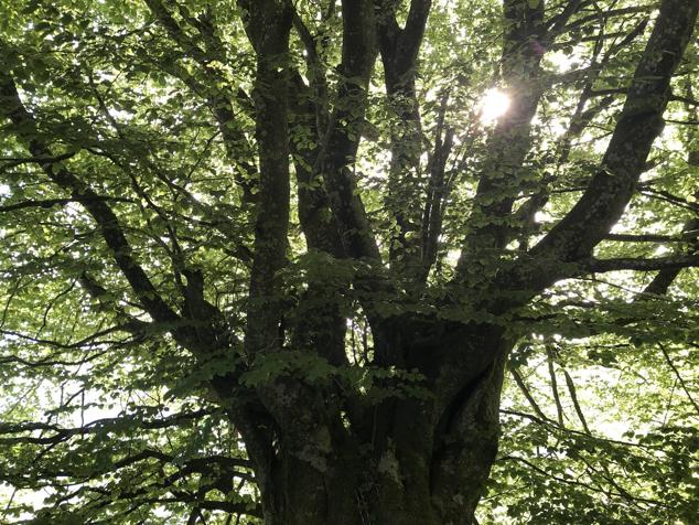 Fotos: Korrenegieta, el poder del viento