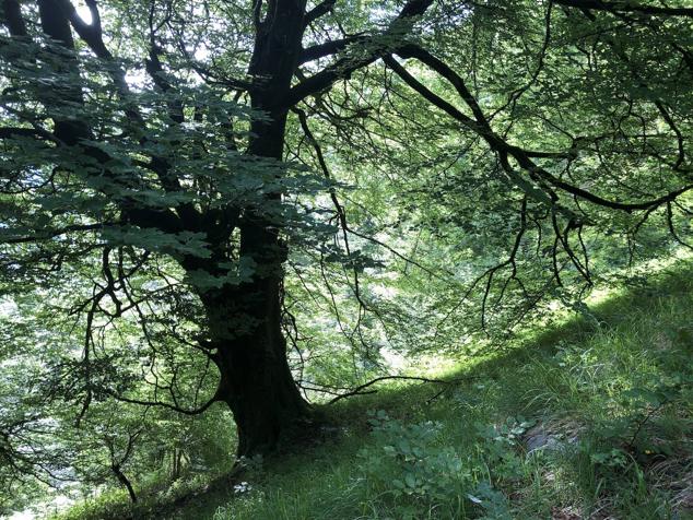 Fotos: Korrenegieta, el poder del viento
