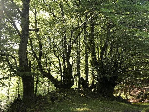 Fotos: Korrenegieta, el poder del viento