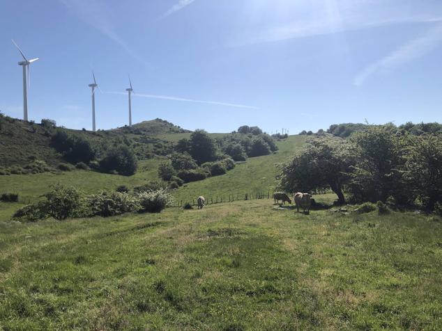 Fotos: Korrenegieta, el poder del viento