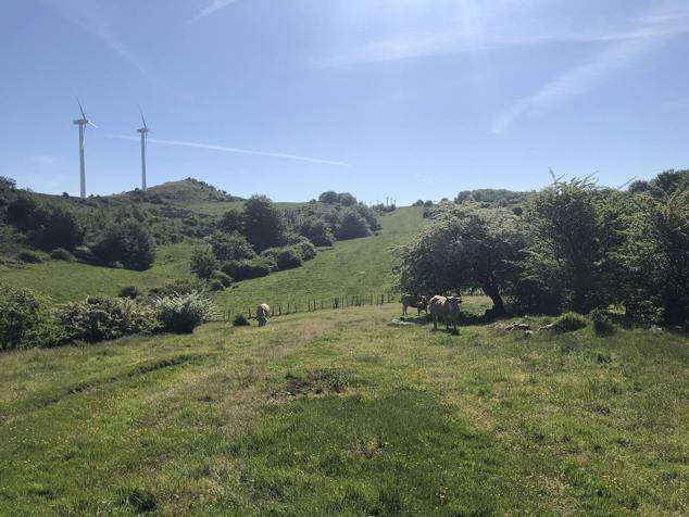 Fotos: Korrenegieta, el poder del viento