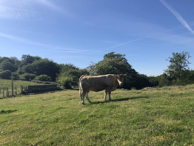 Fotos: Korrenegieta, el poder del viento