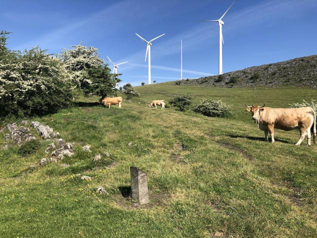 Fotos: Korrenegieta, el poder del viento