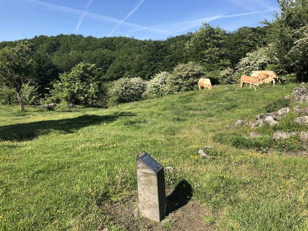 Fotos: Korrenegieta, el poder del viento