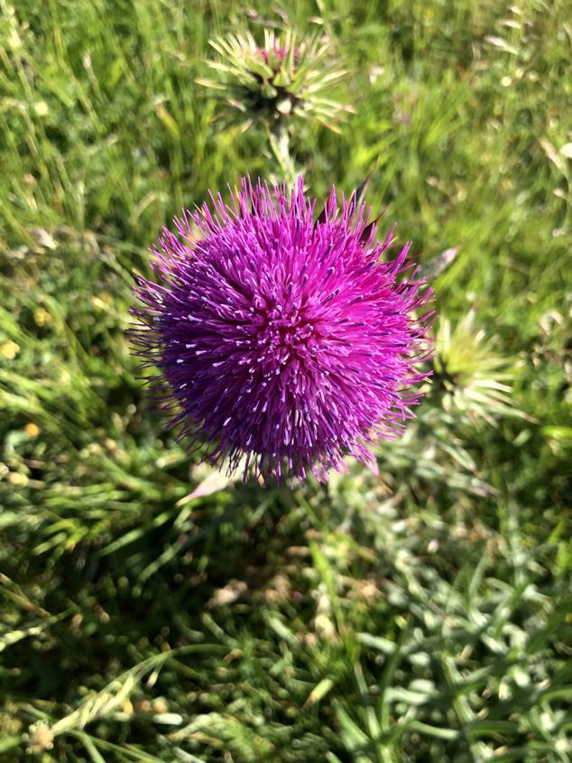 Fotos: Korrenegieta, el poder del viento