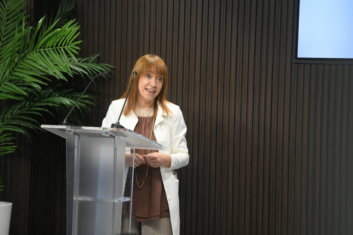 Fotos: La Federación Mercantil pide las instituciones «remar con el comercio en la misma dirección»