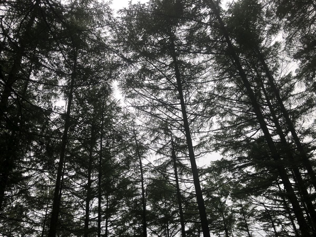 Fotos: Munagirre, magia natural por doquier