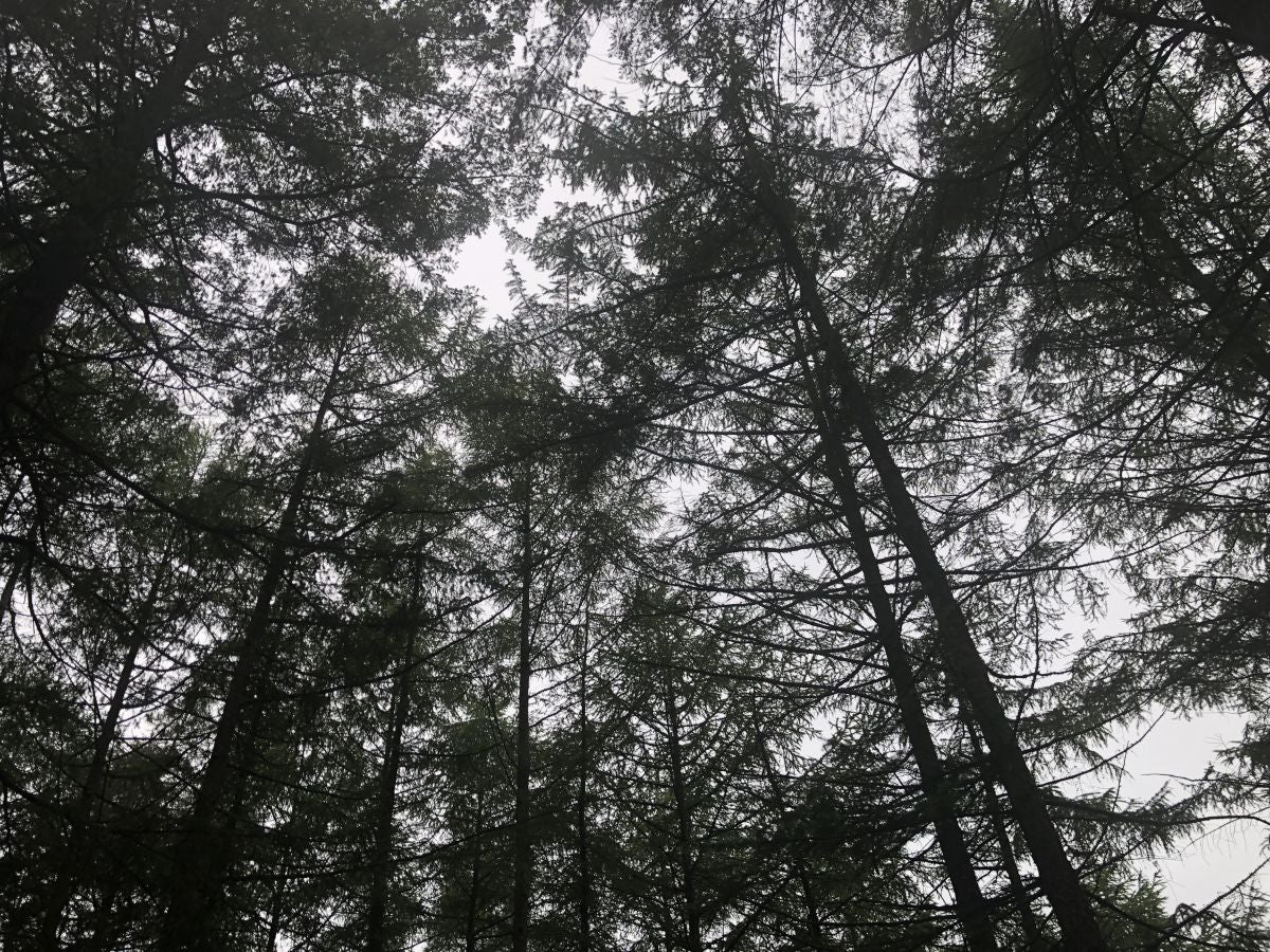 Fotos: Munagirre, magia natural por doquier