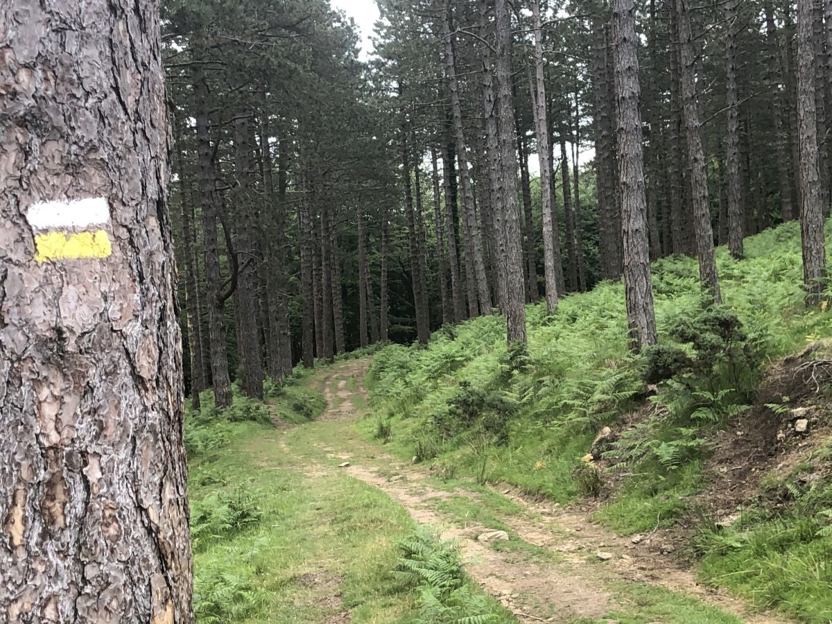 Fotos: Munagirre, magia natural por doquier