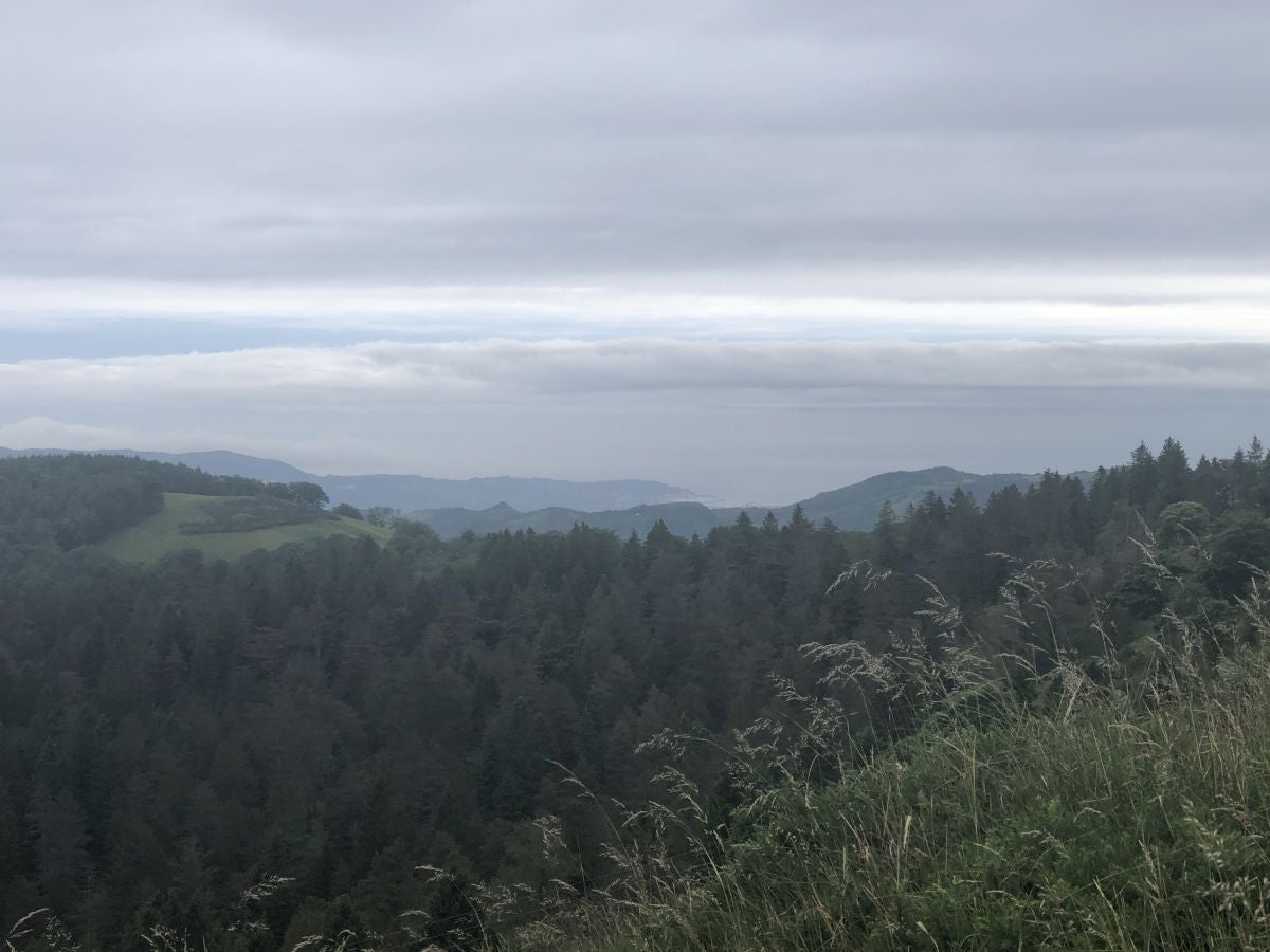 Fotos: Munagirre, magia natural por doquier