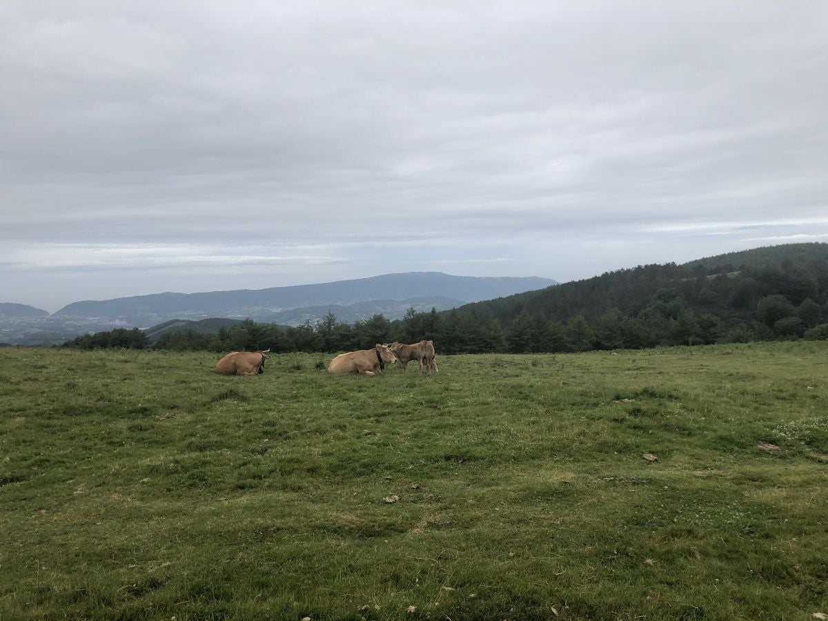 Fotos: Munagirre, magia natural por doquier