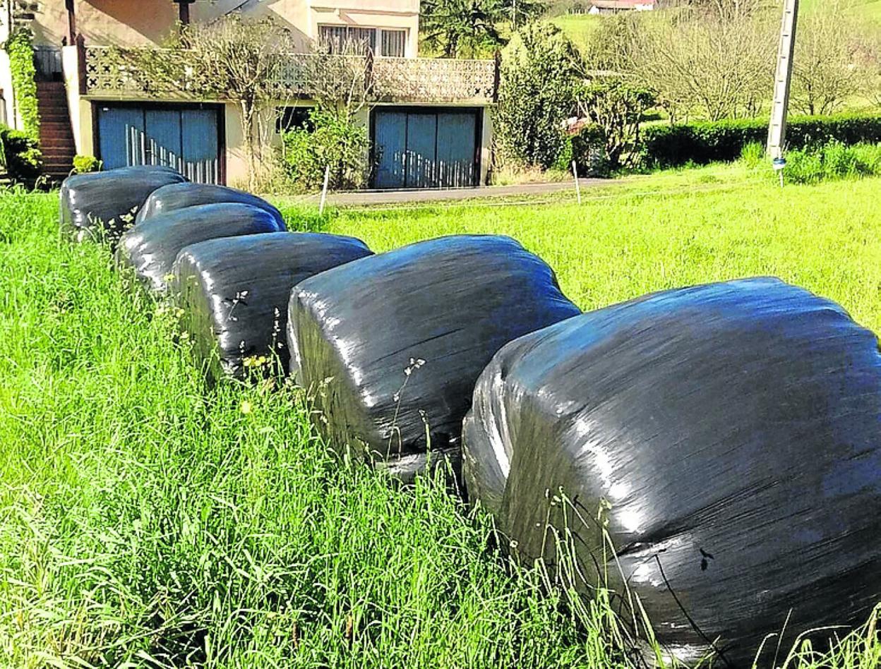 Silo bolak egiteko erabiltzen diren plastikoen bilketa. 