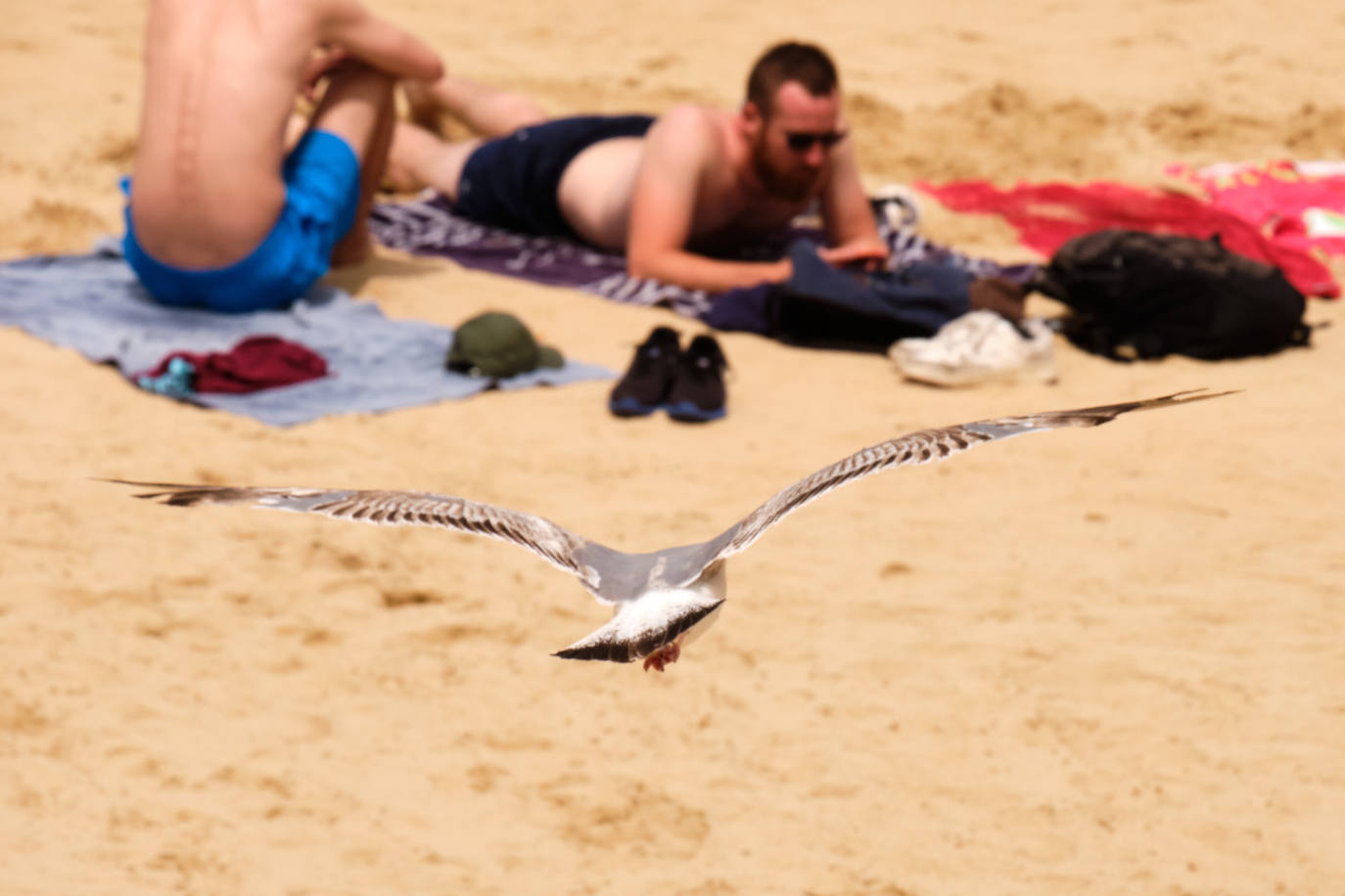 Fotos: Gipuzkoa en aviso amarillo: 30 grados y subiendo