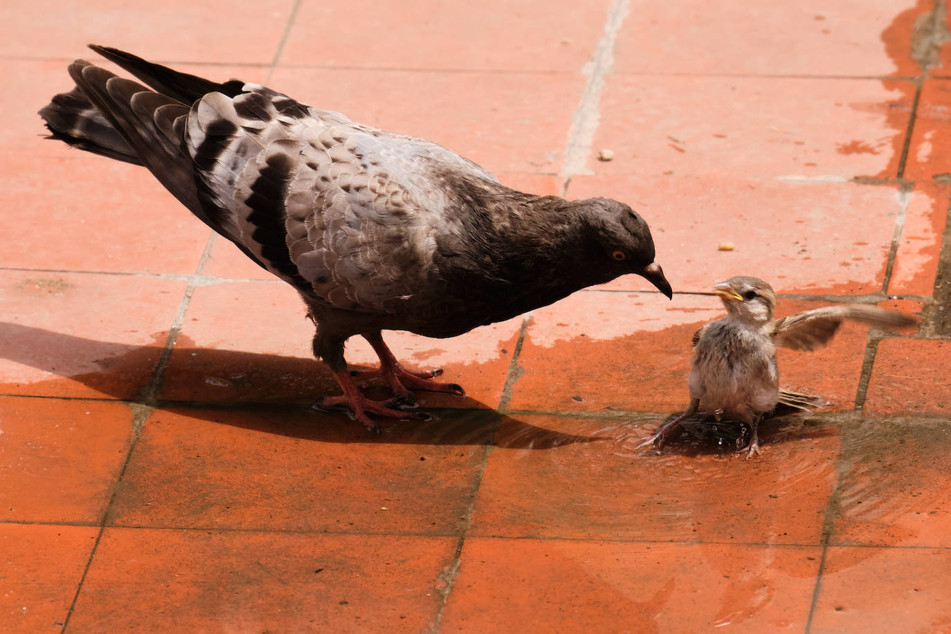 Fotos: Gipuzkoa en aviso amarillo: 30 grados y subiendo