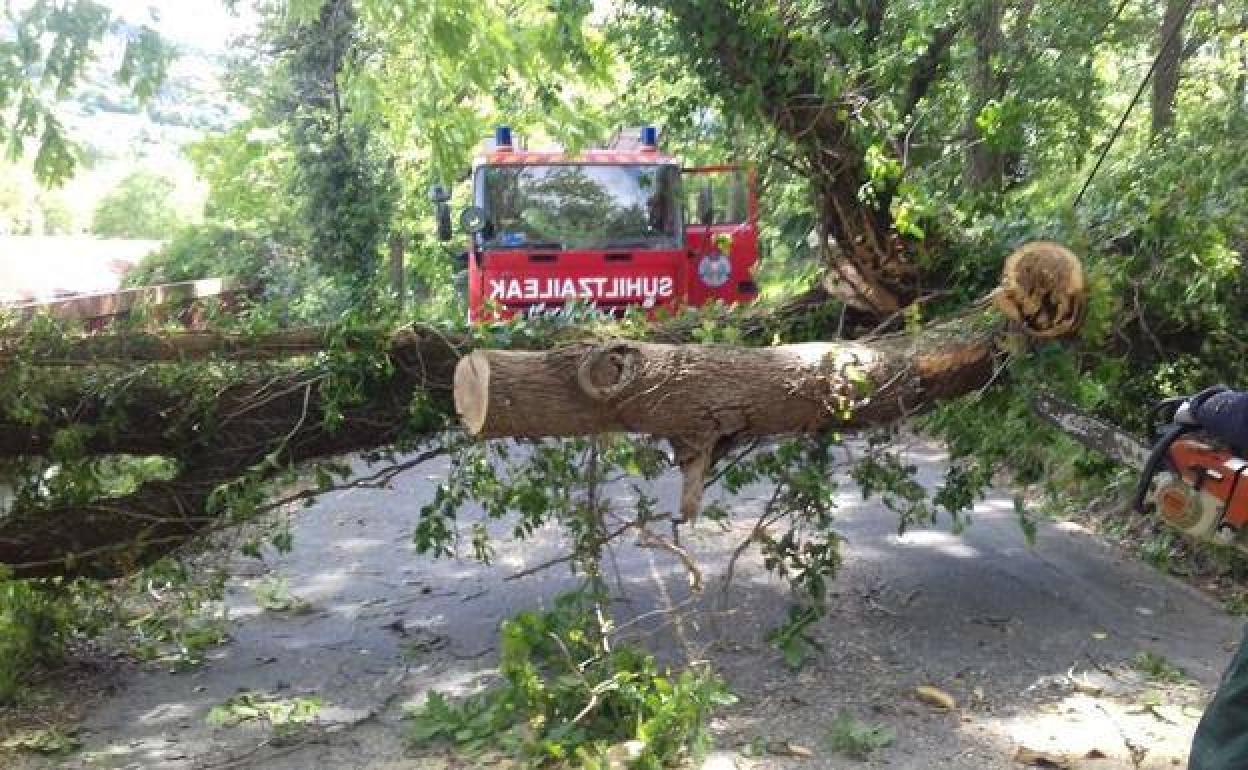 Intervención de archivo de los bomberos de Donostia.