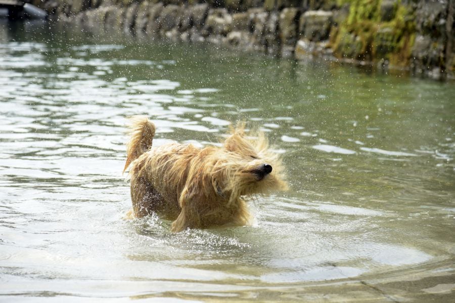 Fotos: Jornada de bochorno