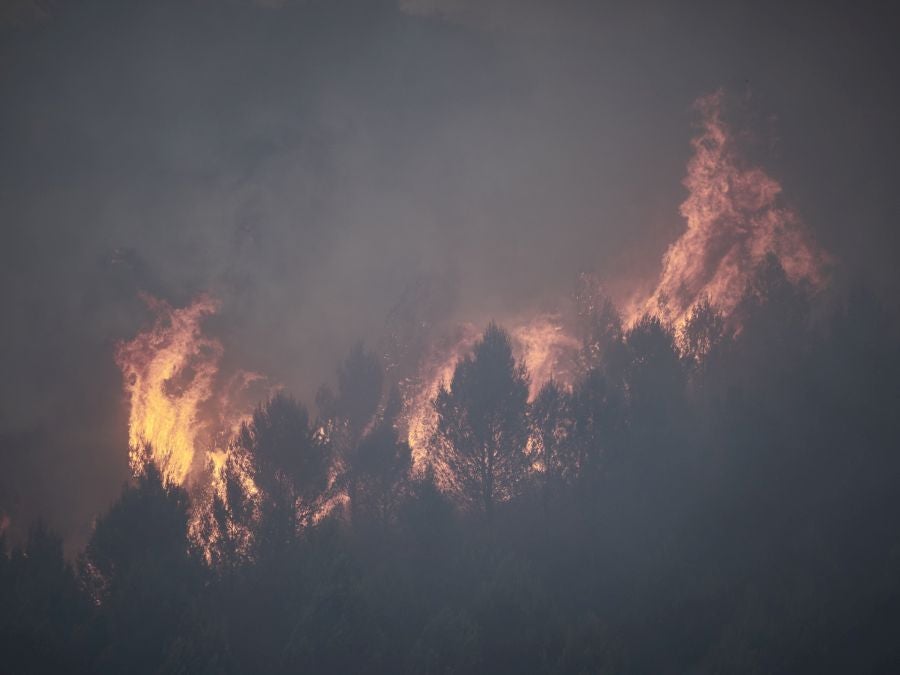 Fotos: Navarra en alerta por varios incendios