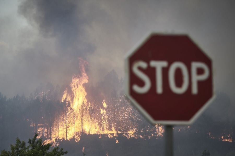 Fotos: Navarra en alerta por varios incendios