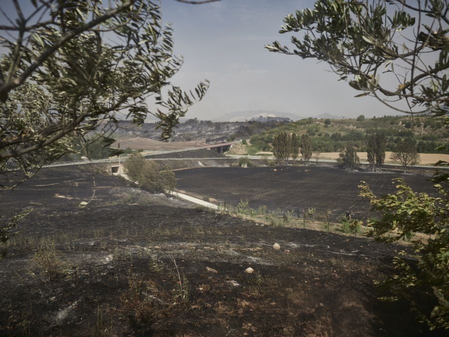 Fotos: Navarra en alerta por varios incendios