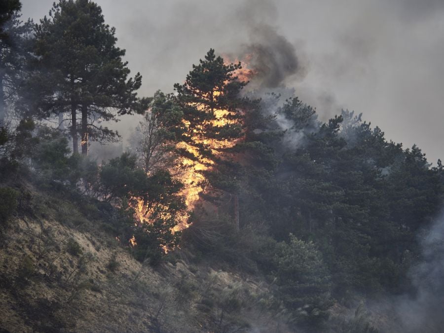 Fotos: Navarra en alerta por varios incendios