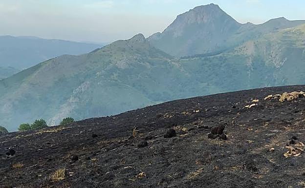 Imagen principal - Una zona devastada por las llamas. Dos imágenes de este pasado fin de semana del incendio 