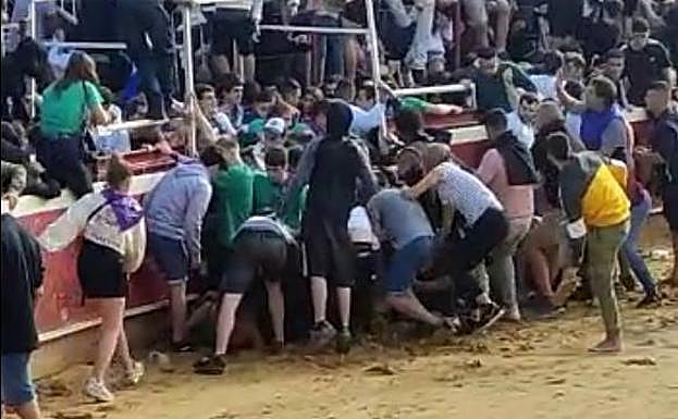 Montonera en la plaza de toros de Arrasate