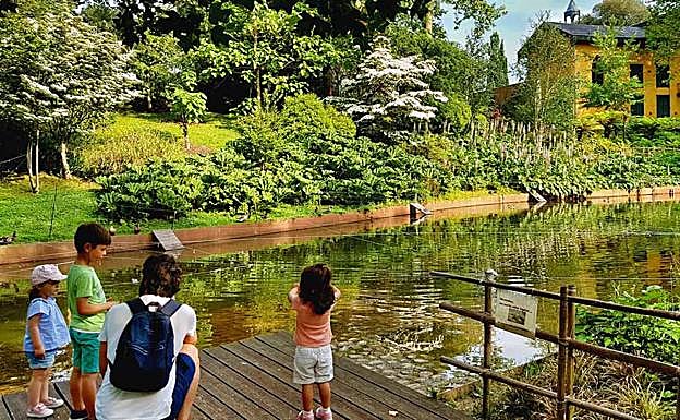 Aire zabaleko zinema-aretoak Donostiako hainbat parketak