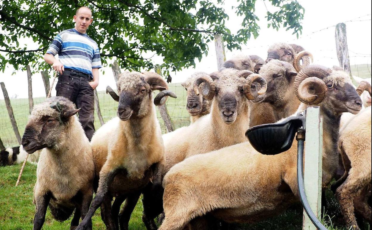 La inscripción para visitar caseríos como este de Mausitxa (Elgoibar) es gratuita. 