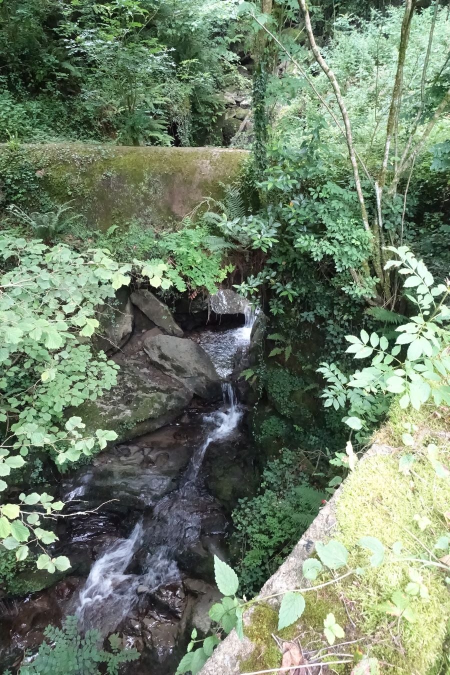 Fotos: Urdaburu, por caminos prehistóricos