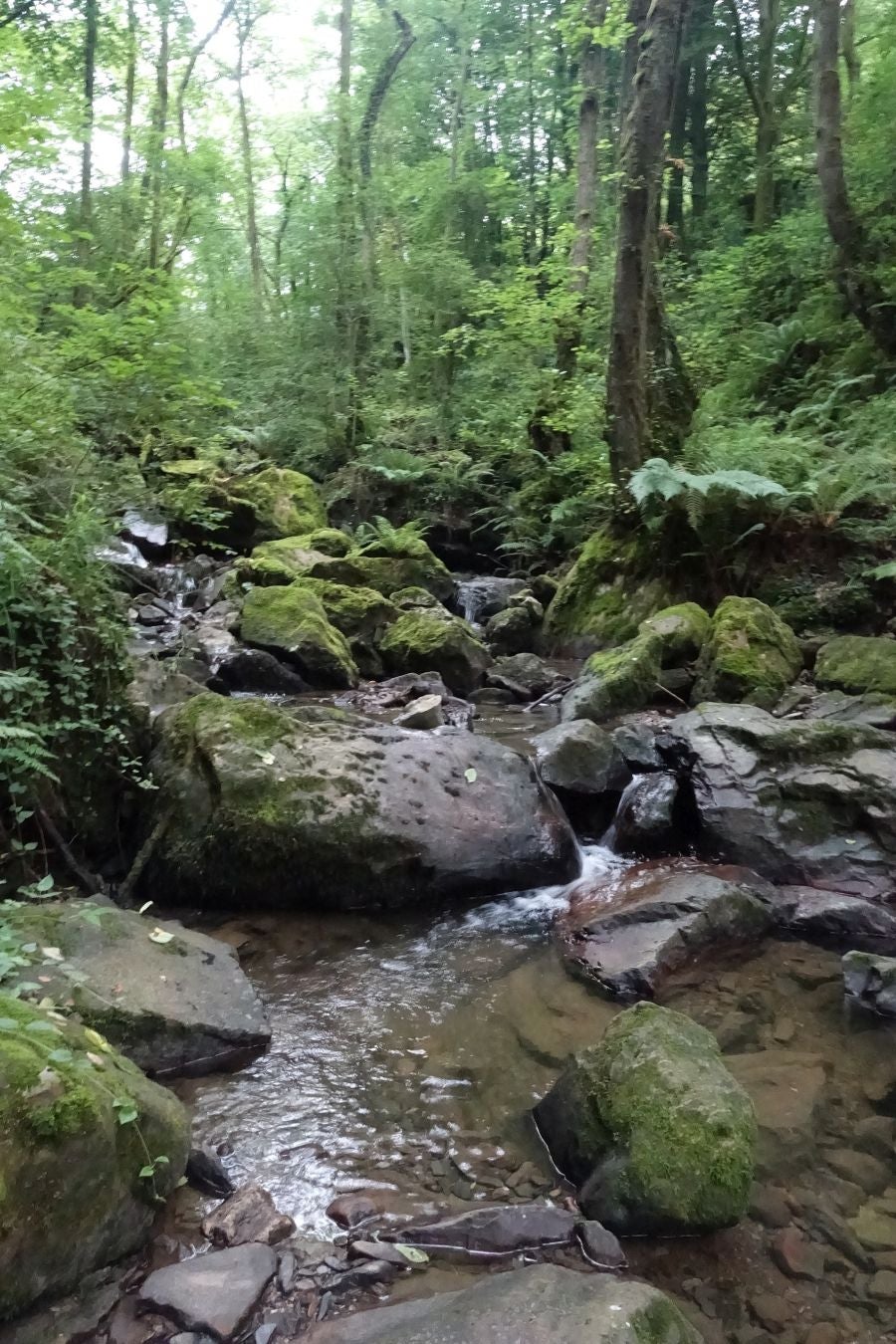 Fotos: Urdaburu, por caminos prehistóricos