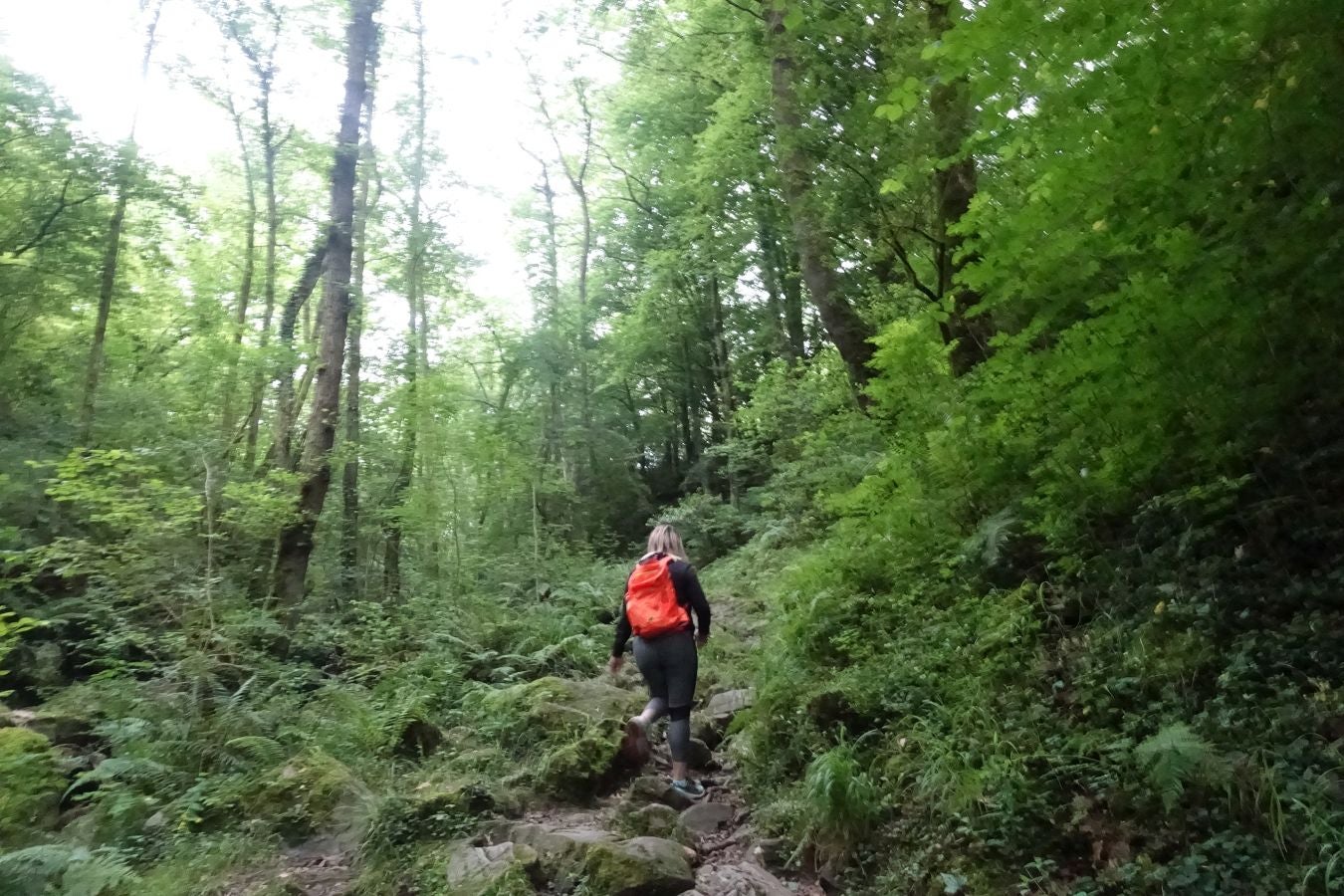 Fotos: Urdaburu, por caminos prehistóricos
