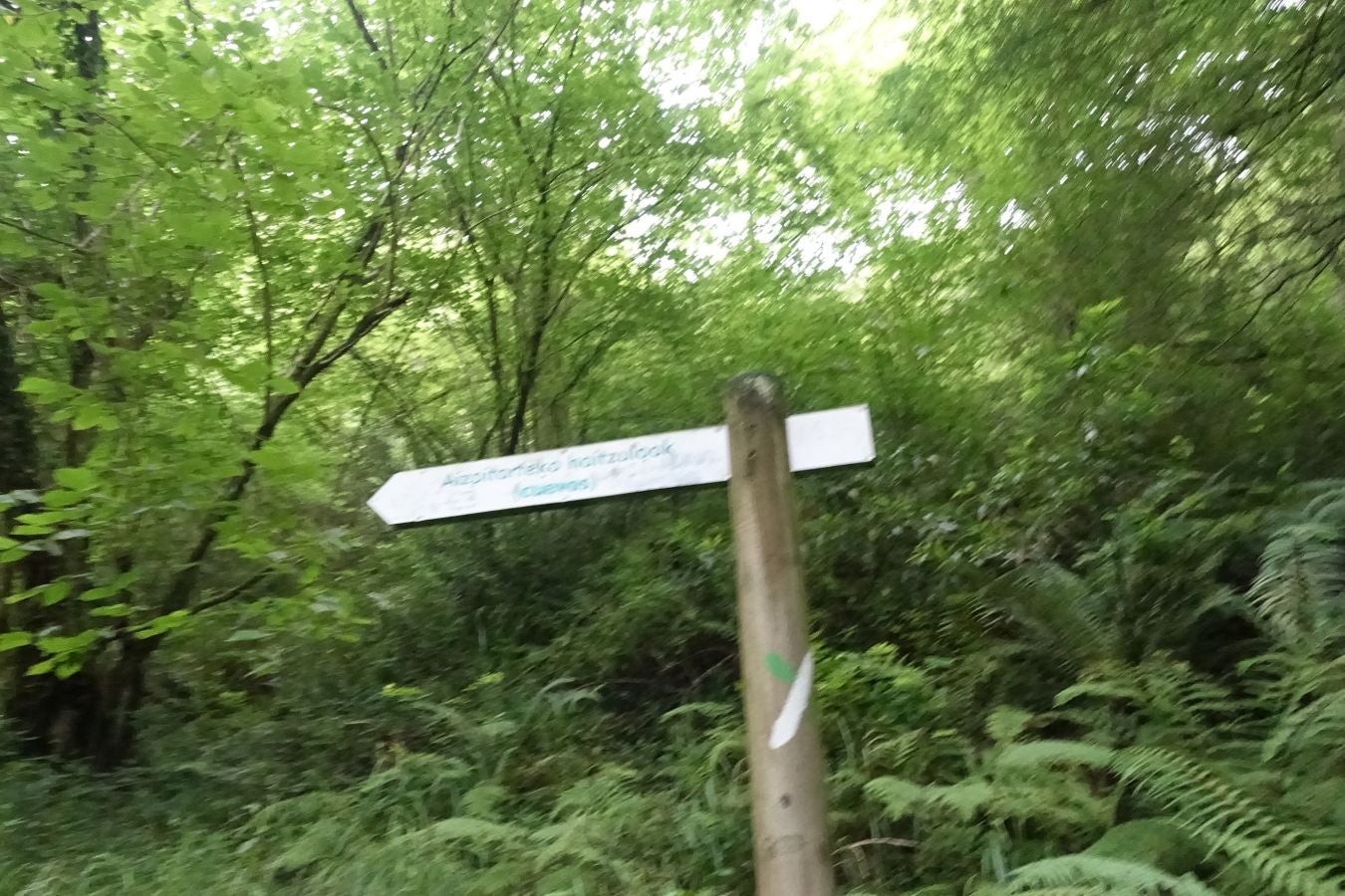 Fotos: Urdaburu, por caminos prehistóricos